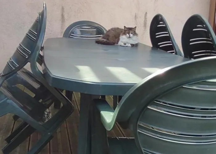 Hébergement de vacances Maison De Avec Terrasse Et Jardin,