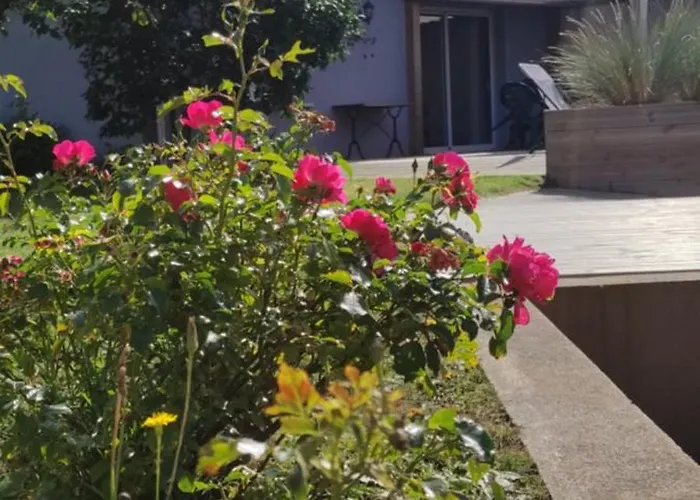 Maison De Avec Terrasse Et Jardin, Hébergement de vacances Berck